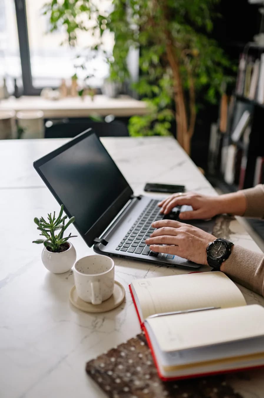 A person working on a laptop at a desk by a window with plants