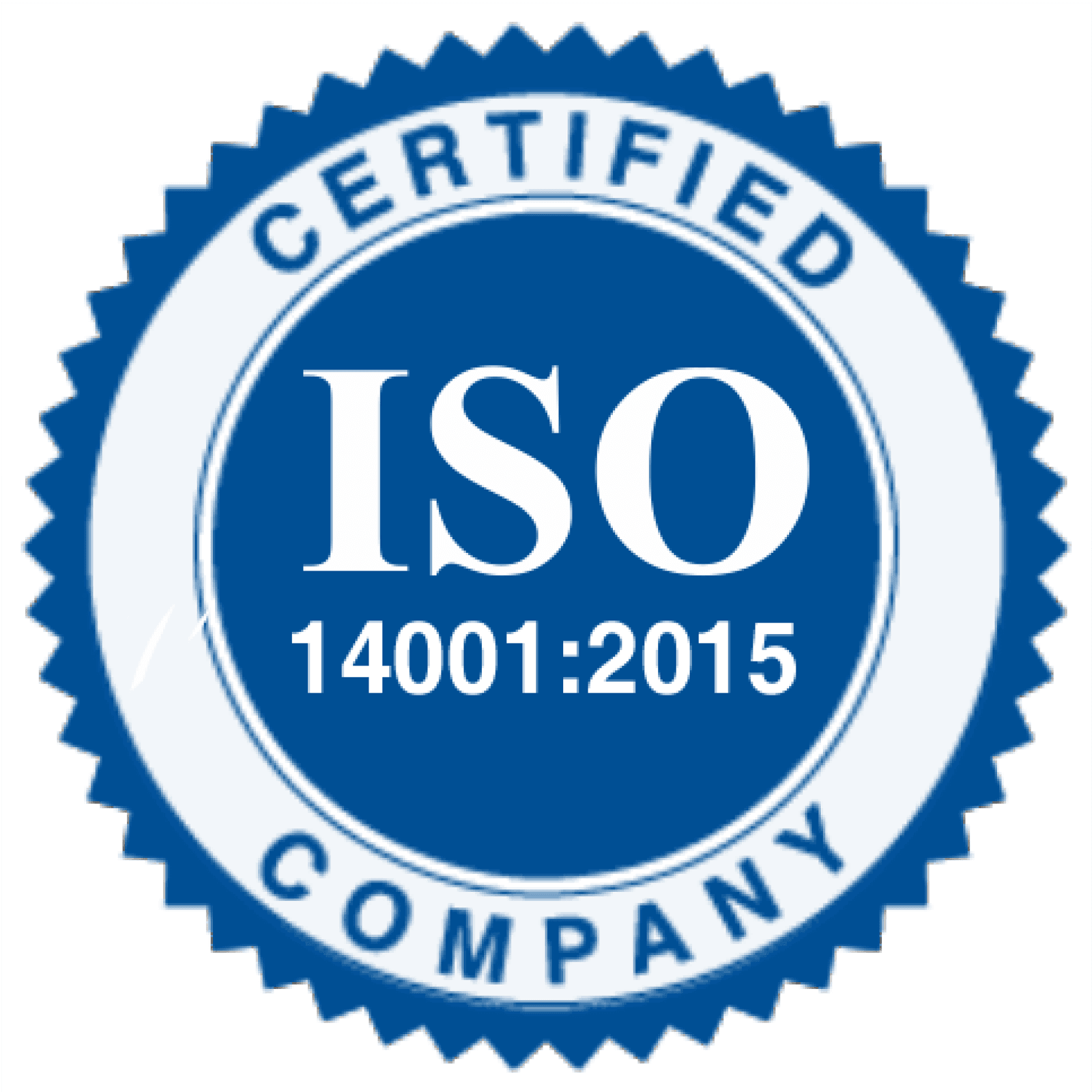 NetSuite certification 11