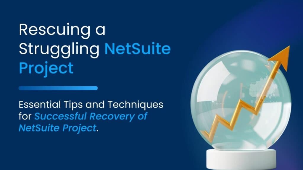 Tips and Techniques for Successful Recovery of NetSuite Project