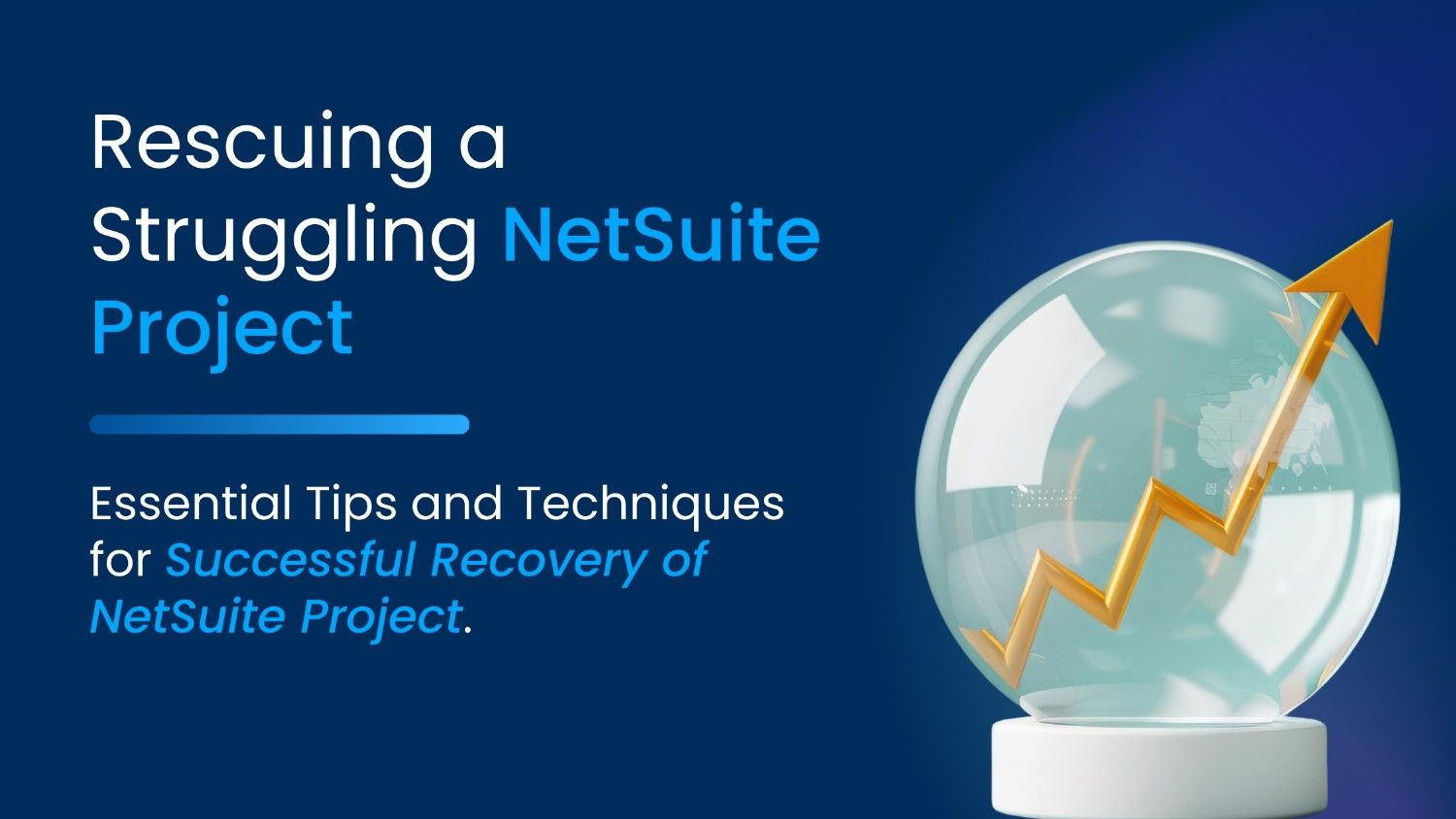 Tips and Techniques for Successful Recovery of NetSuite Project