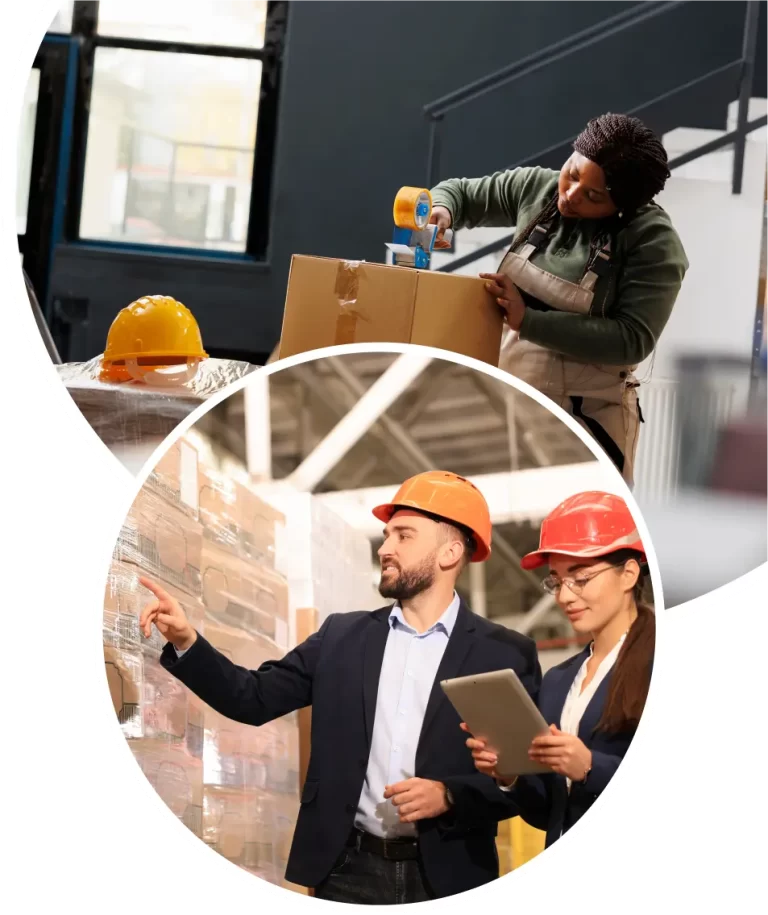 Order Management | LST Consultancy technologies