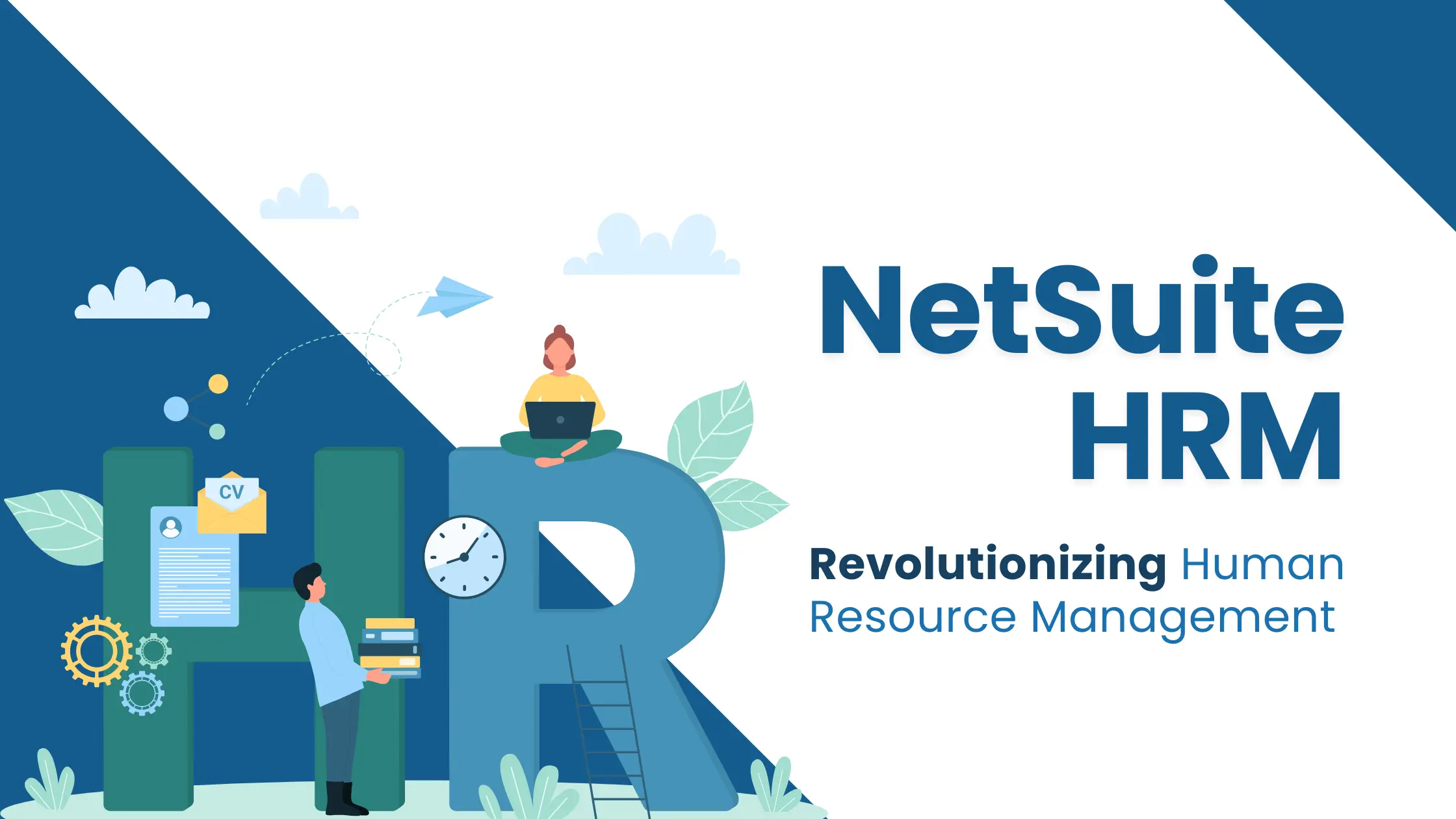 NetSuite Human Resources Management System (HRMS) | LST Consultancy technologies
