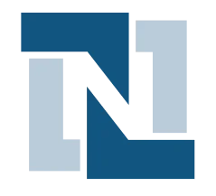 Netsuite fav icon