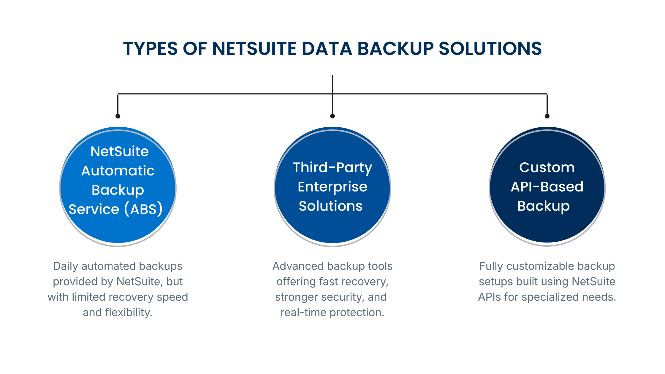 netsuite-data-backup-guide-steps