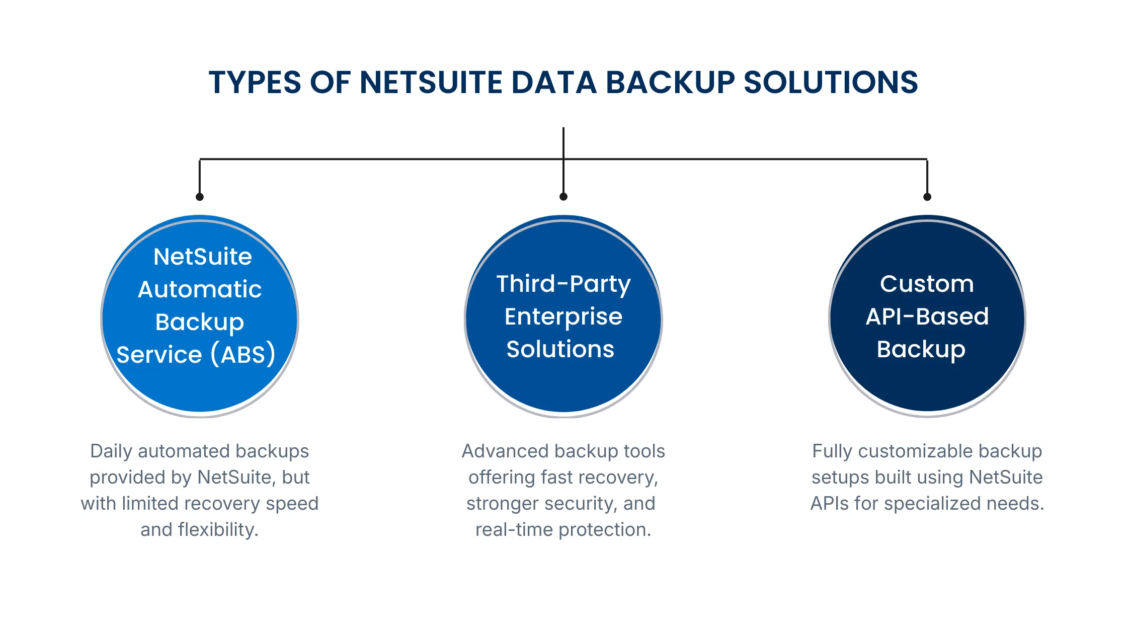 netsuite-data-backup-guide-steps